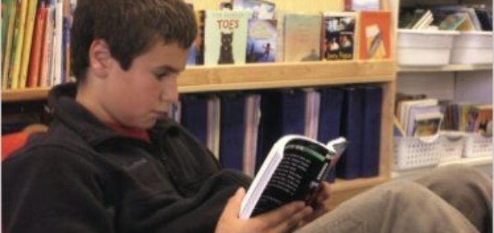 The Reading Zone by Nancie Atwell