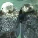 Holding Hands Holding Hands