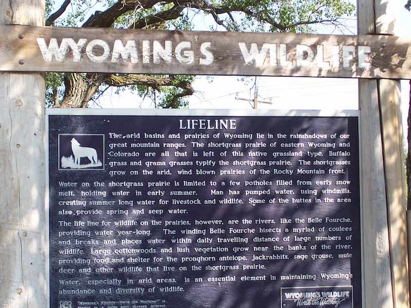 Wyoming Wildlife