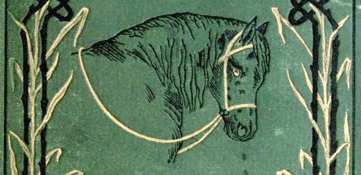Black Beauty First Edition Detail