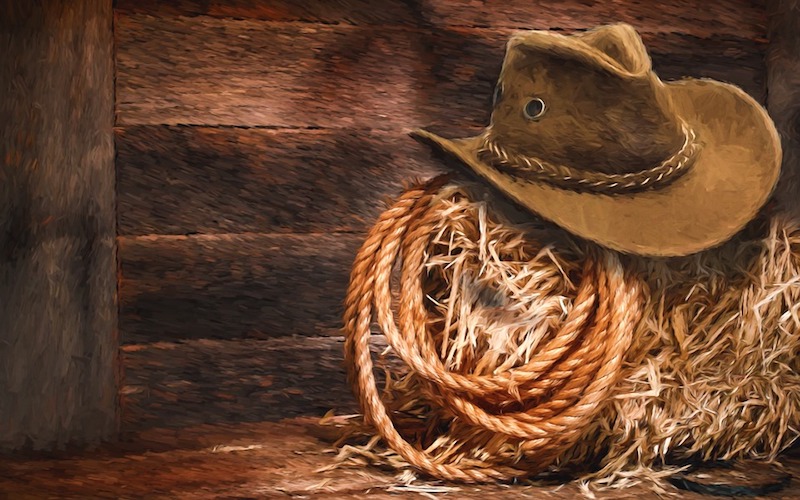 Cowboy Hat and Rope