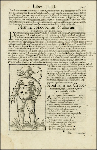 Illustration from Munster's Cosmographia Universalis