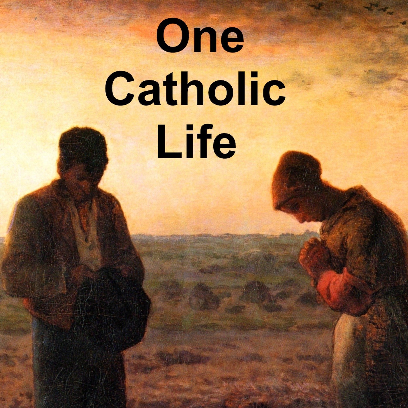 One Catholic Life